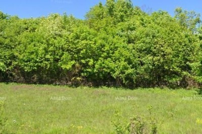 TINAJN - Građevinsko zemljište 4.168 m²