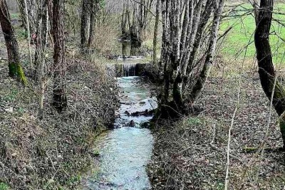 Prodaja- veliko imanje/stancija u središnjoj Istri, Pazin! Investicijska prilika!