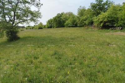 Građevinsko zemljište 3.528 m² ,  u blizini Grožnjana