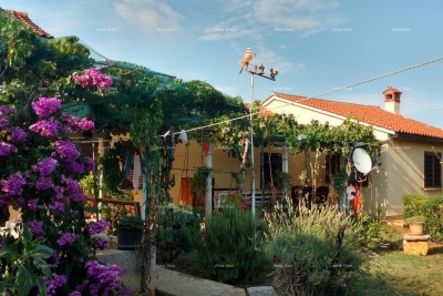 Prodaje se samostojeća kuća, 175 m2, Marčana