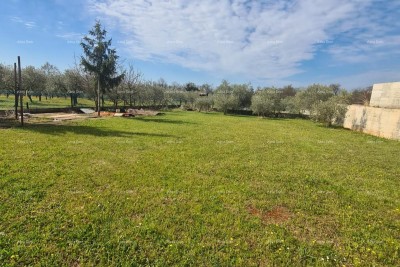 Prelepo gradbeno zemljišče – 600 m², Lovrečica