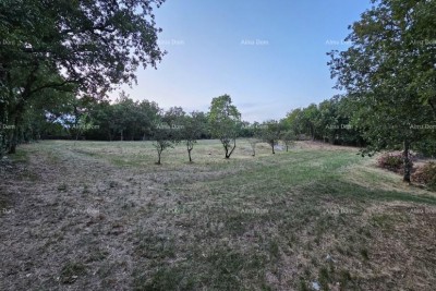 Bauland in Tinjano (Istrien), 3.623 m²
