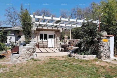 House Umag