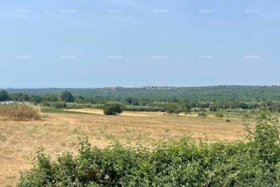 Prodaje se građevinsko zemljište, 1.062 m²,  u okolici Sv. Lovreča