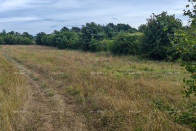 Građevinsko zemljište površine 1.600 m² u blizini Svetvinčenata