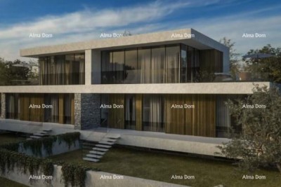 House Umag