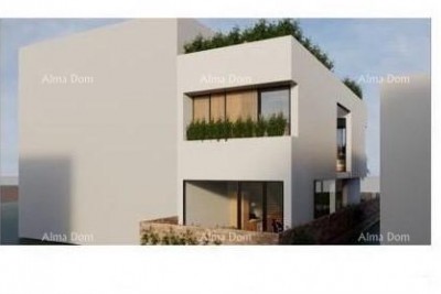 Haus