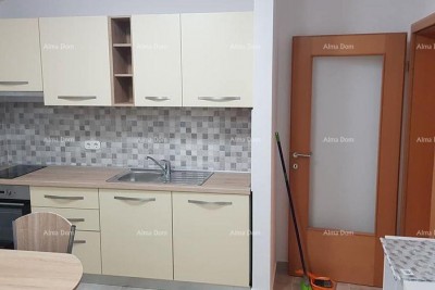Verkauf einer großen Wohnung mit Garten, Tar, Vabriga!