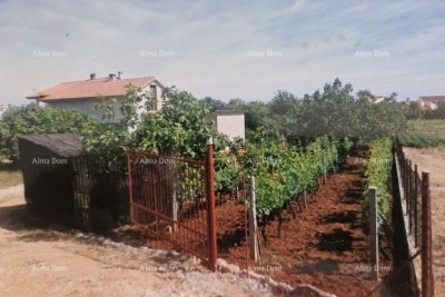 House Fažana