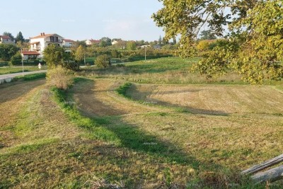 Građevinsko zemljište Pazin - 3.153m2