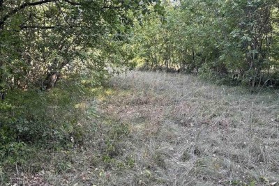 Marčana, zemljište mješovite namjene