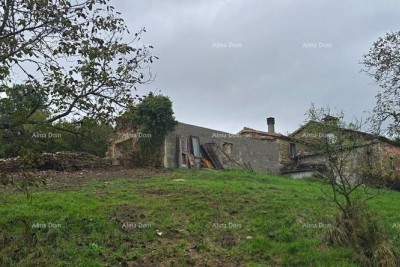 Veliko posestvo s hišo in gradbenim zemljiščem, okolica Buzeta