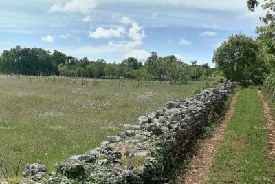 Landwirtschaftsgrundstück