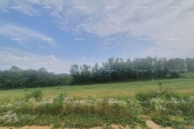 VIŠNJAN – ATRAKTIVNO GRAĐEVINSKO ZEMLJIŠTE S POGLEDOM, 2.588 m²