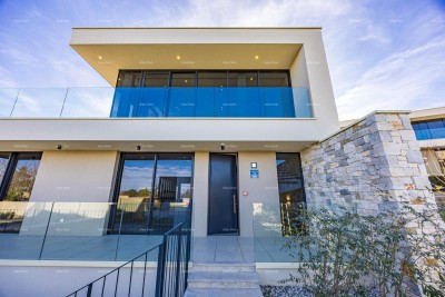 House Umag