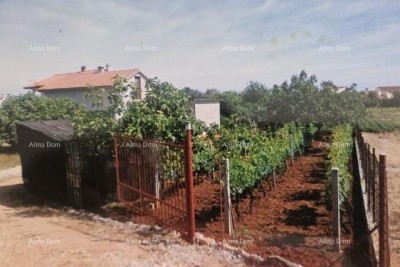 Zu verkaufen: Ein freistehendes Haus in Fažana.