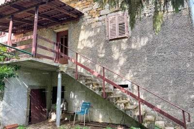 House Buzet