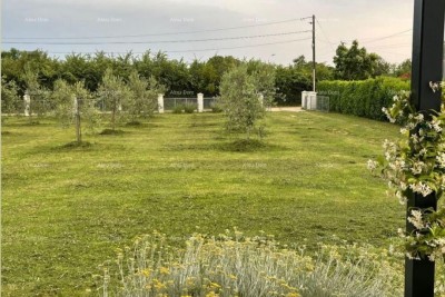 MARČANA! LOBORIKA - GRAĐEVINSKO ZEMLJIŠTE S MASLINIKOM