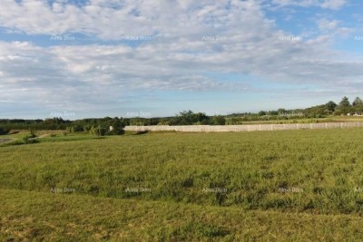 Prodaje se građevinsko zemljište, 7.159 m² – Brtonigla