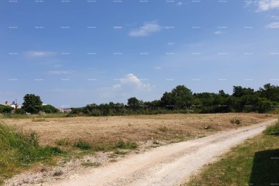 Prostrana građevinska parcela od 1700 m² u Šišanu - idealna prilika za vaš dom ili investiciju