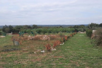 Marčana – građevinsko zemljište 1.200 m²
