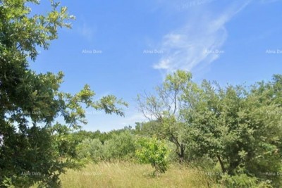 Prodaja- građevinsko zemljište u blizini centra Marčane!