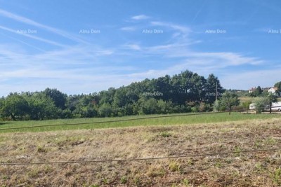 GRAĐEVINSKO ZEMLJIŠTE 2.920 m² V BLIZINI VIŠNJANA