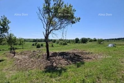 Građevinska parcela 1.200 m² + poljoprivredno zemljište 4.400 m² – Vižinada