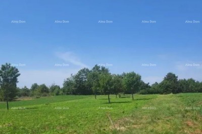 Istra, Žminj, Laginji. Građevinsko zemljište. 1950 m2.