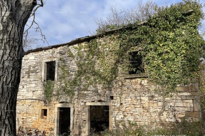 Prodaja - kamena istrska kuća za renovaciju s velikim zemljištem, Oprtalj!