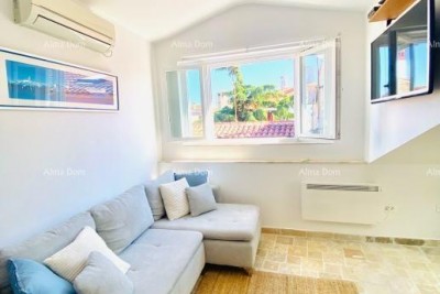 Apartment Novigrad