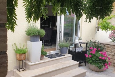 Prodaje se stan 90m2 sa konobom i vrtom, Novigrad