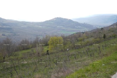 GRADBENIŠKO ZEMLJIŠČE S PANORAMSKIM POGLEDOM NA MOTOVUN – 3.059 m²