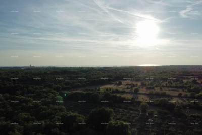 Plot Vodnjan