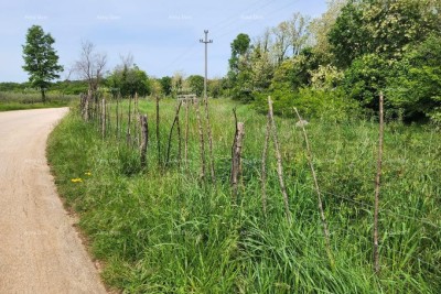 POREČ - Baugrundstück zu verkaufen, 12000 m²