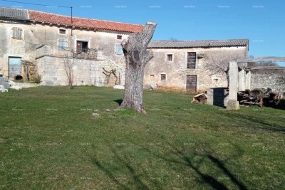 Pazin, Istra - dvije stare kamene kuće s velikim zemljištem