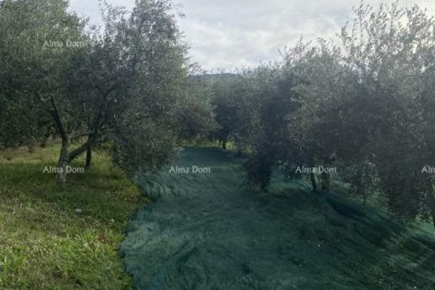 Cerovlje, građevinsko zemljište površine 1.575 m²