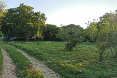 Građevinsko zemljište, Ližnjan