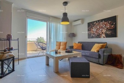 Apartment Novigrad