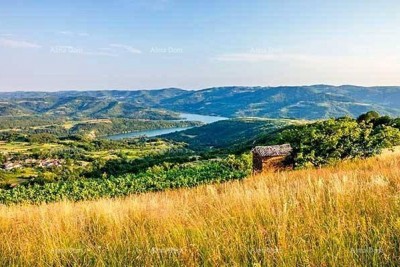 Buzet, zemljišni kompleks ukupne površine 100.258 m²