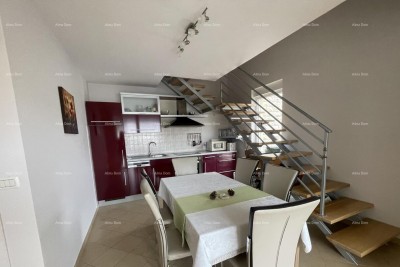 Novigrad – Geräumige zweistöckige Wohnung mit überdachtem Parkplatz