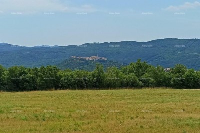 Prodaja građevinskog zemljišta, površine od 1374 m2, Buzet!