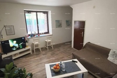 House Umag