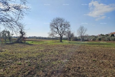 Rezervirano!!! Prodaja građevinskog zemljišta s pogledom na more, Novigrad!