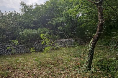 Građevinsko i poljoprivredno zemljište u blizini Svetvinčenata: 11100 m² za vašu investiciju
