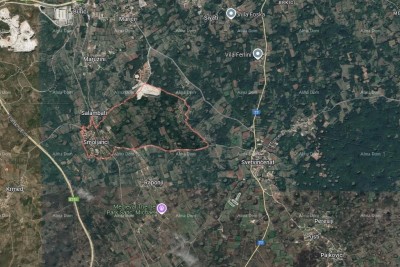 Građevinska parcela s starimi oljkami, starimi več kot 200 let!