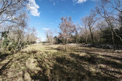 Buje – Baugrundstück 1.086 m² mit Meerblick