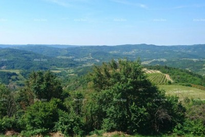 Građevinsko zemljište 761 m² za vilu s bazenom – Grimalda