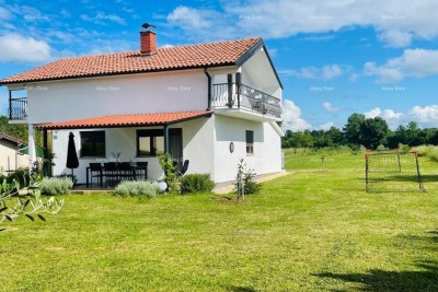 MARČANA! LOBORIKA - HIŠA Z OLJČNIKOM.