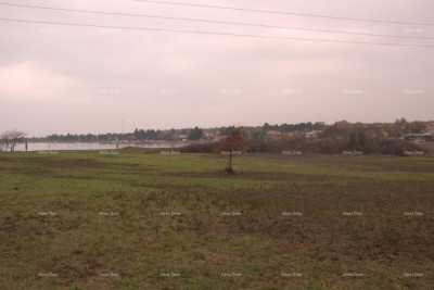 Prodaje se građevinsko zemljište, okolica Novigrada.